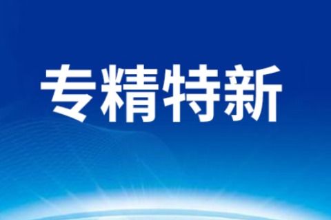 安徽斯百德 專業(yè)的產(chǎn)業(yè)服務(wù)與信息技術(shù)咨詢解決方案
