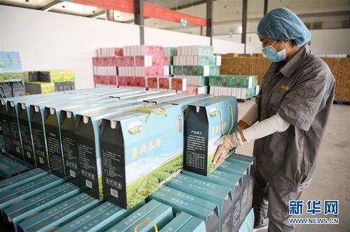 數(shù)字橋梁連山海 閩寧攜手以信息技術咨詢服務賦能產業(yè)園區(qū)脫貧振興